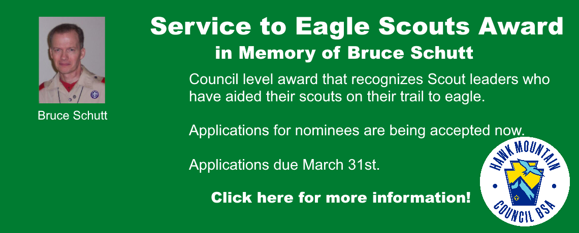Service to Eagle Scouts Award