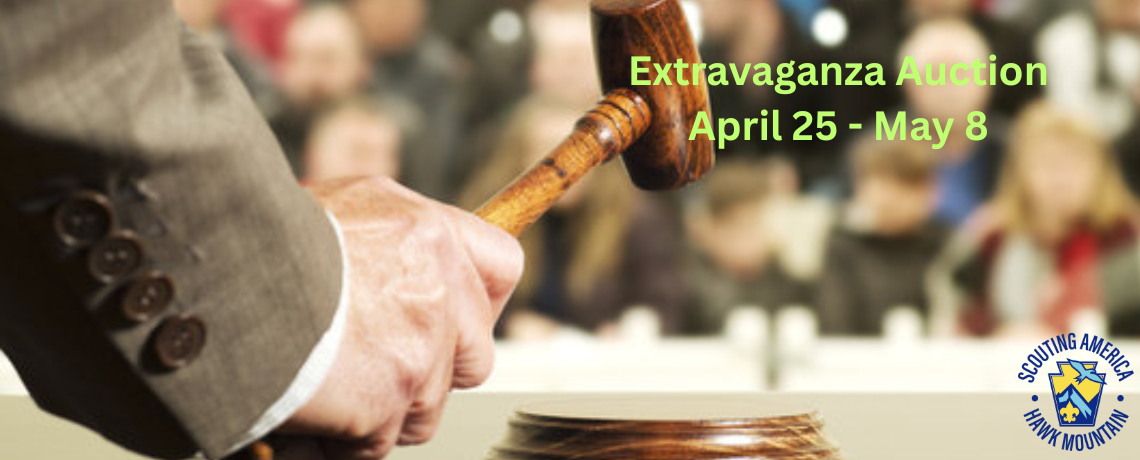 2025 Extravaganza Auction